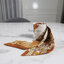 Hermes Caramel/White/Bronze Brides et Gris Silk Twilly Scarf (1 เส้น)